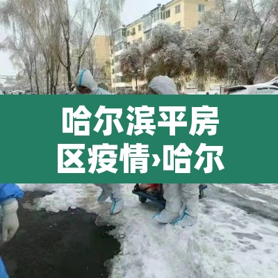 哈尔滨平房区疫情›哈尔滨平房区疫情风险等级今天消息 哈尔滨平房区疫情›哈尔滨平房区疫情风险等级今天消息