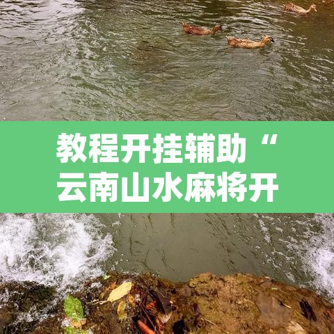 教程开挂辅助“云南山水麻将开挂多少钱”(透视挂)辅助透视教程