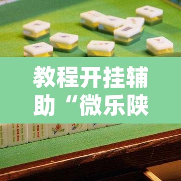 教程开挂辅助“微乐陕西麻将开挂教程	”(透视挂)辅助透视教程