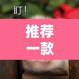 推荐一款“胖猪竞技如何装挂	”(透视挂)辅助透视教程