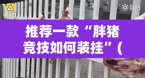 推荐一款“胖猪竞技如何装挂”(透视挂)辅助透视教程