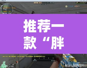 推荐一款“胖猪竞技如何装挂”(透视挂)辅助透视教程