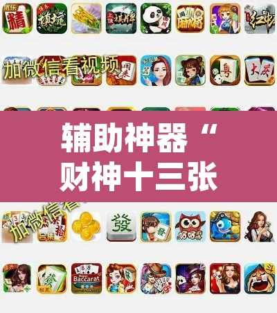 辅助神器“财神十三张黑科技”(透视挂)辅助透视教程