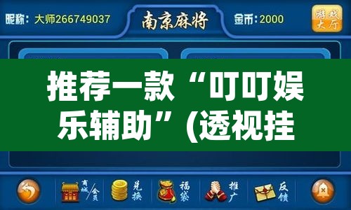 推荐一款“叮叮娱乐辅助”(透视挂)辅助透视教程
