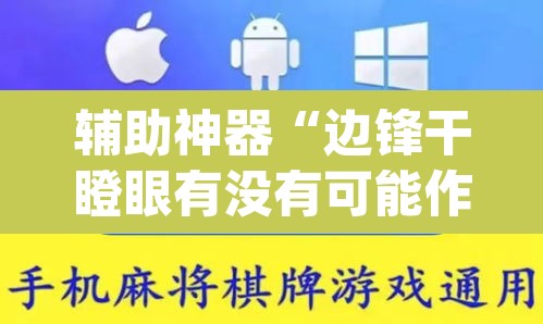 辅助神器“边锋干瞪眼有没有可能作弊”(透视挂)辅助透视教程