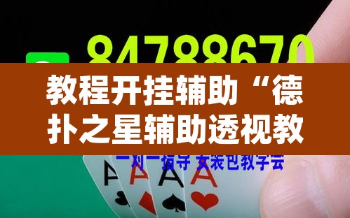 教程开挂辅助“德扑之星辅助透视教程”(透视挂)辅助透视教程