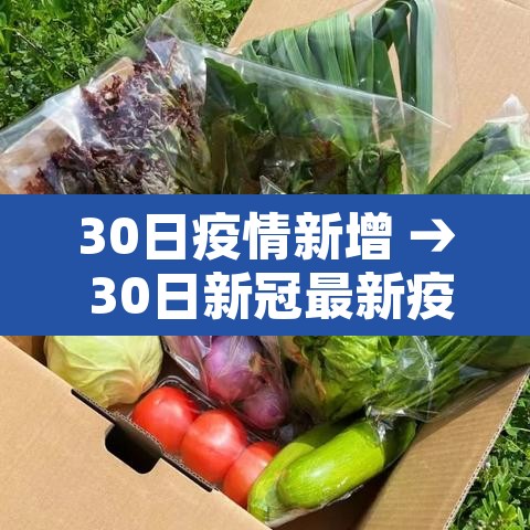 30日疫情新增 → 30日新冠最新疫情更新 30日疫情新增 → 30日新冠最新疫情更新