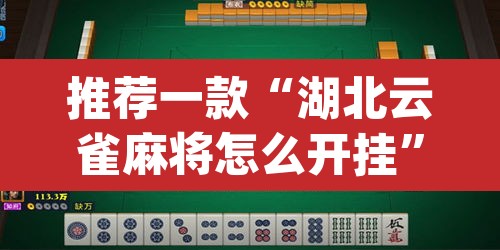 推荐一款“湖北云雀麻将怎么开挂”(透视挂)辅助透视教程