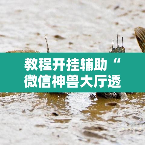 教程开挂辅助“微信神兽大厅透视安装	”(透视挂)辅助透视教程