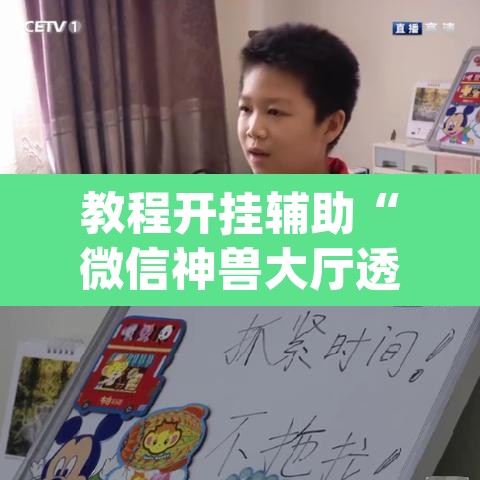 教程开挂辅助“微信神兽大厅透视安装”(透视挂)辅助透视教程