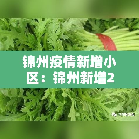 锦州疫情新增小区:锦州新增2 锦州疫情新增小区:锦州新增2
