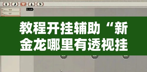 教程开挂辅助“新金龙哪里有透视挂”(透视挂)辅助透视教程