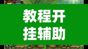 教程开挂辅助“新金龙哪里有透视挂	”(透视挂)辅助透视教程
