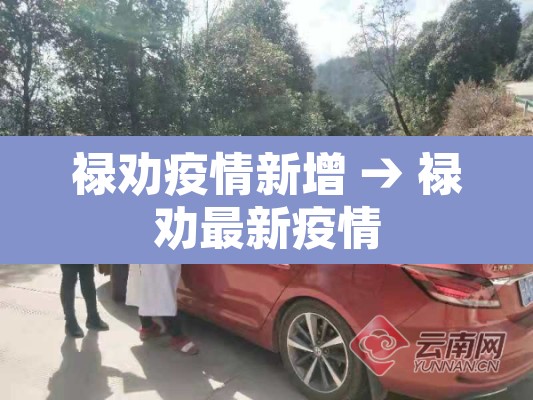 禄劝疫情新增 → 禄劝最新疫情 禄劝疫情新增 → 禄劝最新疫情
