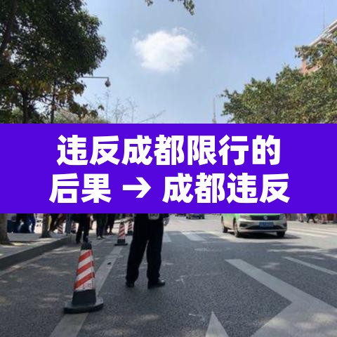 违反成都限行的后果 → 成都违反限行了扣多少分 违反成都限行的后果 → 成都违反限行了扣多少分