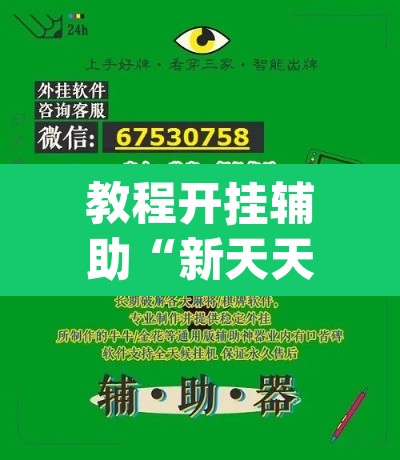 教程开挂辅助“新天天游戏可以开挂吗	”(透视挂)辅助透视教程