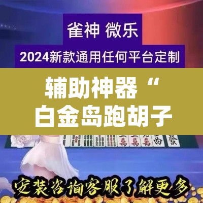 辅助神器“白金岛跑胡子当真有辅助挂吗”(透视挂)辅助透视教程