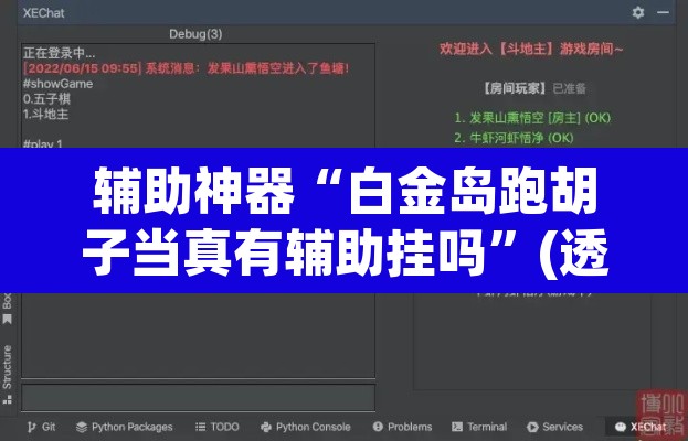 辅助神器“白金岛跑胡子当真有辅助挂吗”(透视挂)辅助透视教程