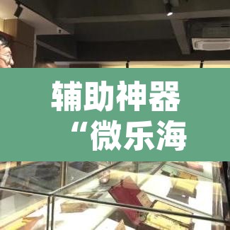 辅助神器“微乐海南麻将开挂神器”(透视挂)辅助透视教程