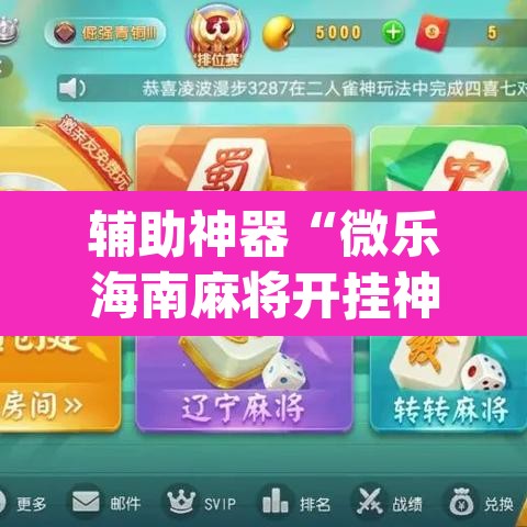 辅助神器“微乐海南麻将开挂神器”(透视挂)辅助透视教程