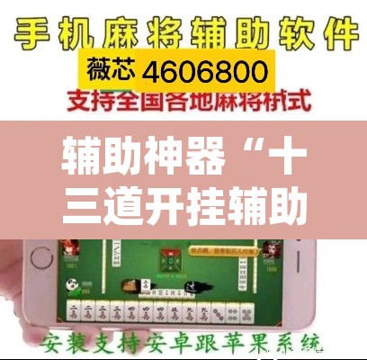 辅助神器“十三道开挂辅助软件	”(透视挂)辅助透视教程
