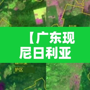 辅助神器“微乐湖南麻将怎么开挂”(透视挂)辅助透视教程