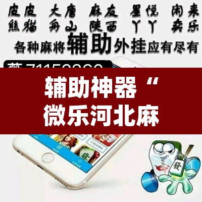 辅助神器“微乐河北麻将万能开挂器免费通用版”(透视挂)辅助透视教程