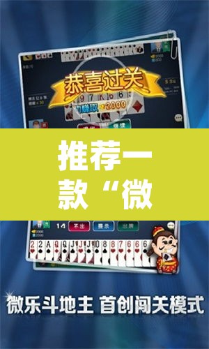 推荐一款“微乐斗地主万能透视”(透视挂)辅助透视教程