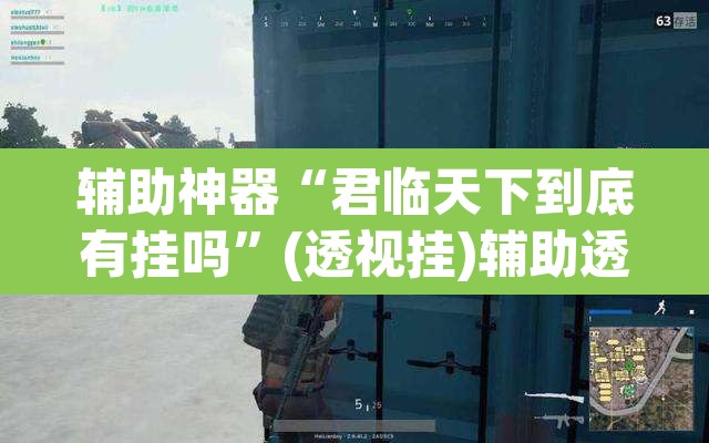辅助神器“君临天下到底有挂吗”(透视挂)辅助透视教程