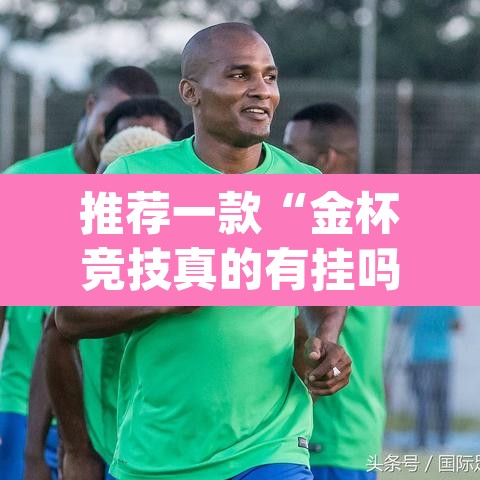 推荐一款“金杯竞技真的有挂吗”(透视挂)辅助透视教程