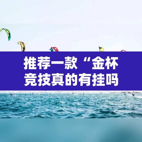 推荐一款“金杯竞技真的有挂吗	”(透视挂)辅助透视教程