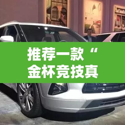 推荐一款“金杯竞技真的有挂吗”(透视挂)辅助透视教程
