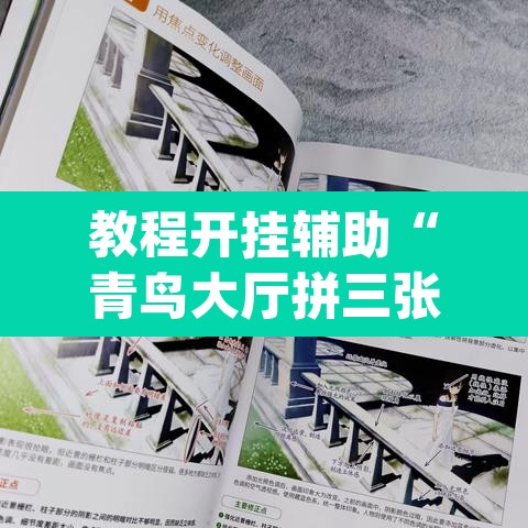 教程开挂辅助“青鸟大厅拼三张透视	”(透视挂)辅助透视教程