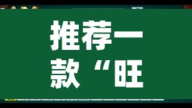 推荐一款“旺旺南平麻将怎么开挂”(透视挂)辅助透视教程