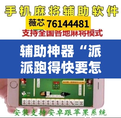 辅助神器“派派跑得快要怎么开挂”(透视挂)辅助透视教程
