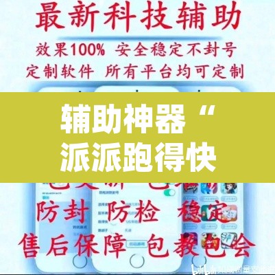 辅助神器“派派跑得快要怎么开挂”(透视挂)辅助透视教程