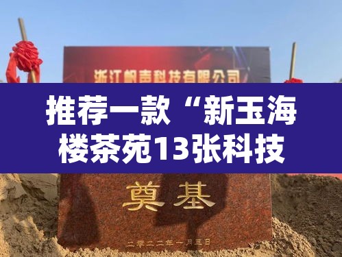 推荐一款“新玉海楼茶苑13张科技辅助”(透视挂)辅助透视教程