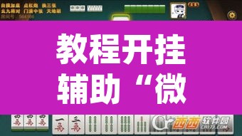 教程开挂辅助“微乐陕西麻将开挂版本软件”(透视挂)辅助透视教程