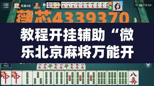 教程开挂辅助“微乐北京麻将万能开挂器”(透视挂)辅助透视教程