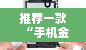 推荐一款“手机金花软挂神器	”(透视挂)辅助透视教程