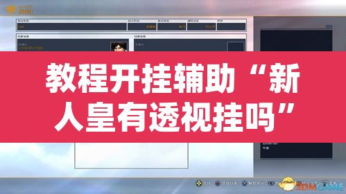 教程开挂辅助“新人皇有透视挂吗”(透视挂)辅助透视教程