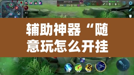 辅助神器“随意玩怎么开挂	”(透视挂)辅助透视教程