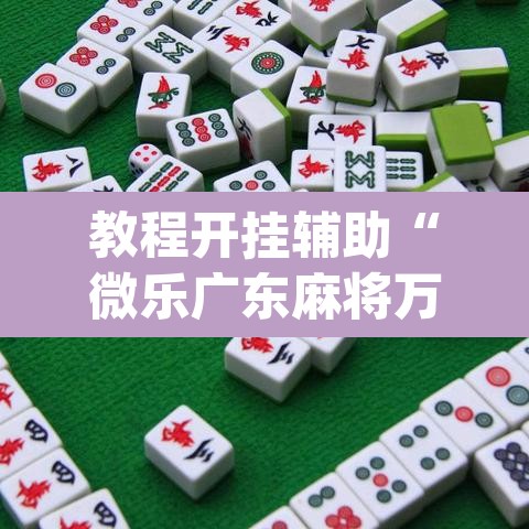 教程开挂辅助“微乐广东麻将万能开挂器”(透视挂)辅助透视教程
