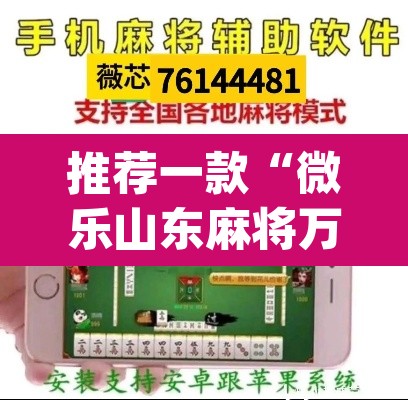 推荐一款“微乐山东麻将万能开挂器通用版”(透视挂)辅助透视教程