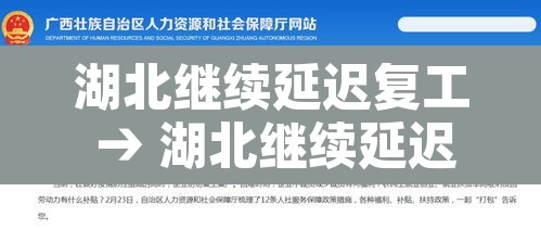湖北继续延迟复工 → 湖北继续延迟复工政策