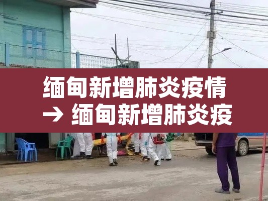 缅甸新增肺炎疫情 → 缅甸新增肺炎疫情情况