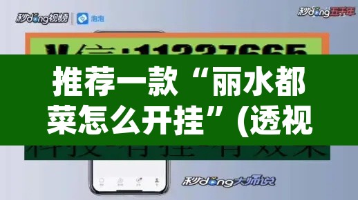 推荐一款“丽水都菜怎么开挂”(透视挂)辅助透视教程