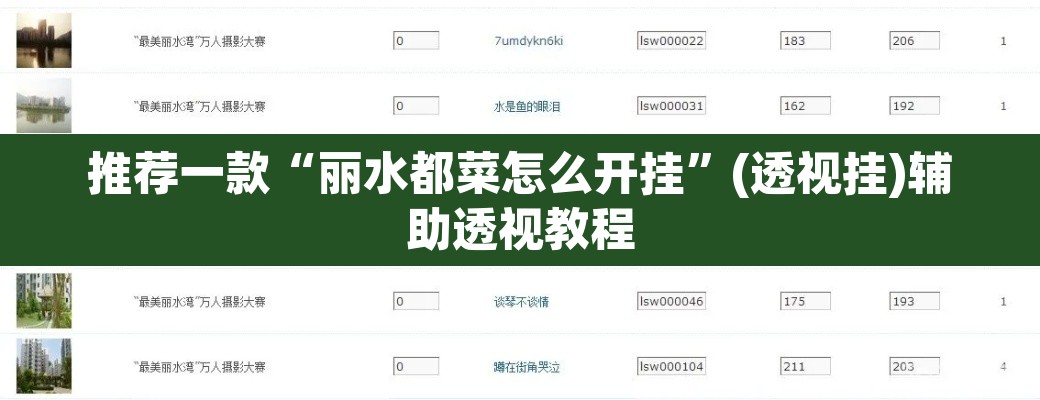 推荐一款“丽水都菜怎么开挂”(透视挂)辅助透视教程