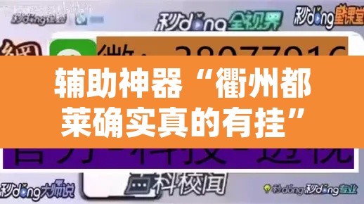 辅助神器“衢州都莱确实真的有挂”(透视挂)辅助透视教程