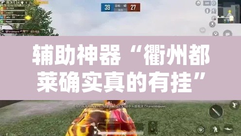 辅助神器“衢州都莱确实真的有挂”(透视挂)辅助透视教程